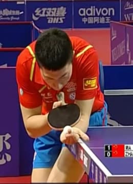 不仅体现了 不仅体现了