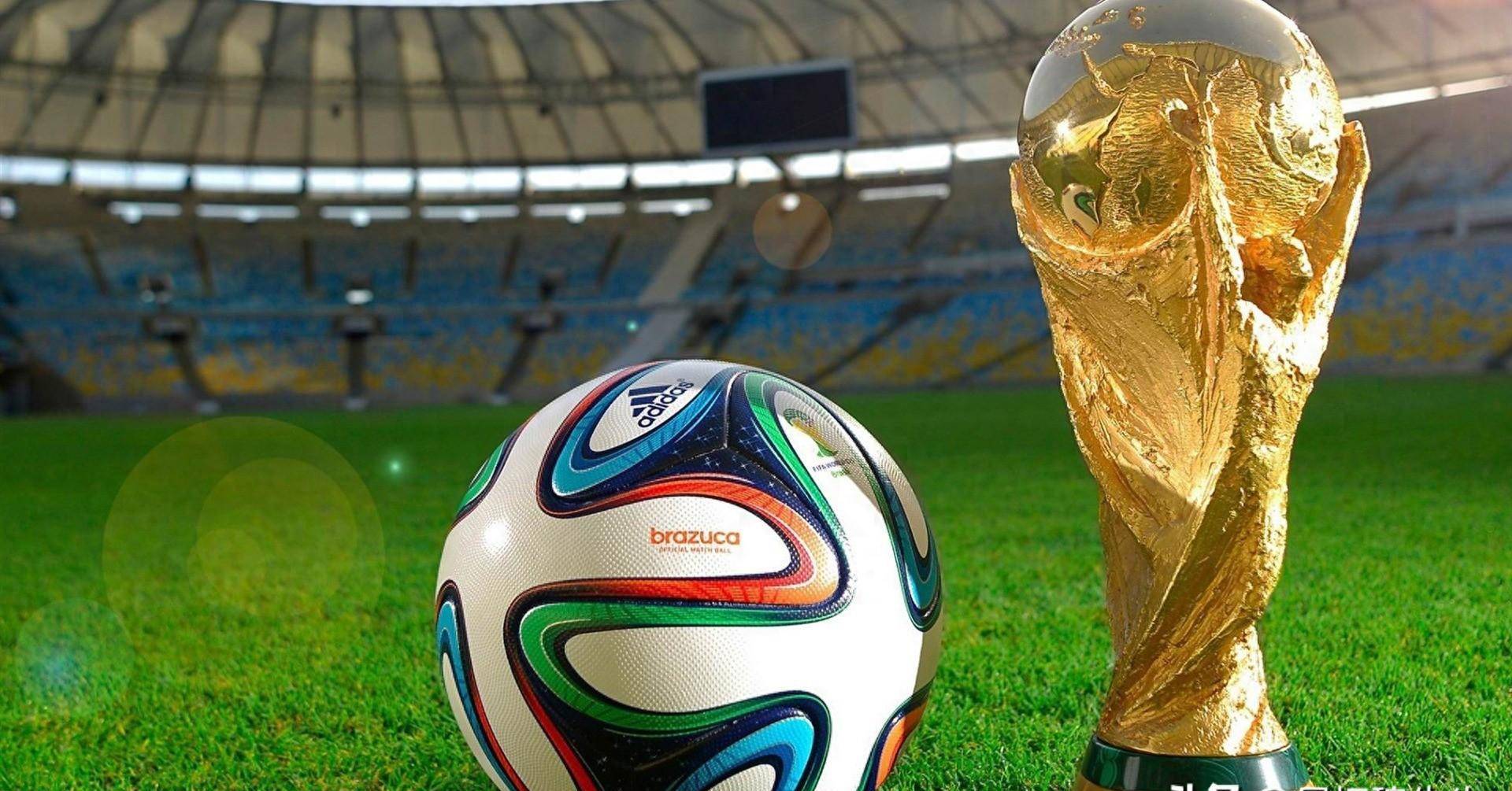 守的最优耦 守的最优耦