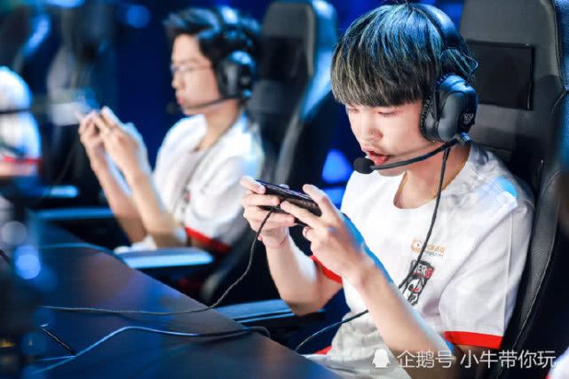 本土组织 本土组织