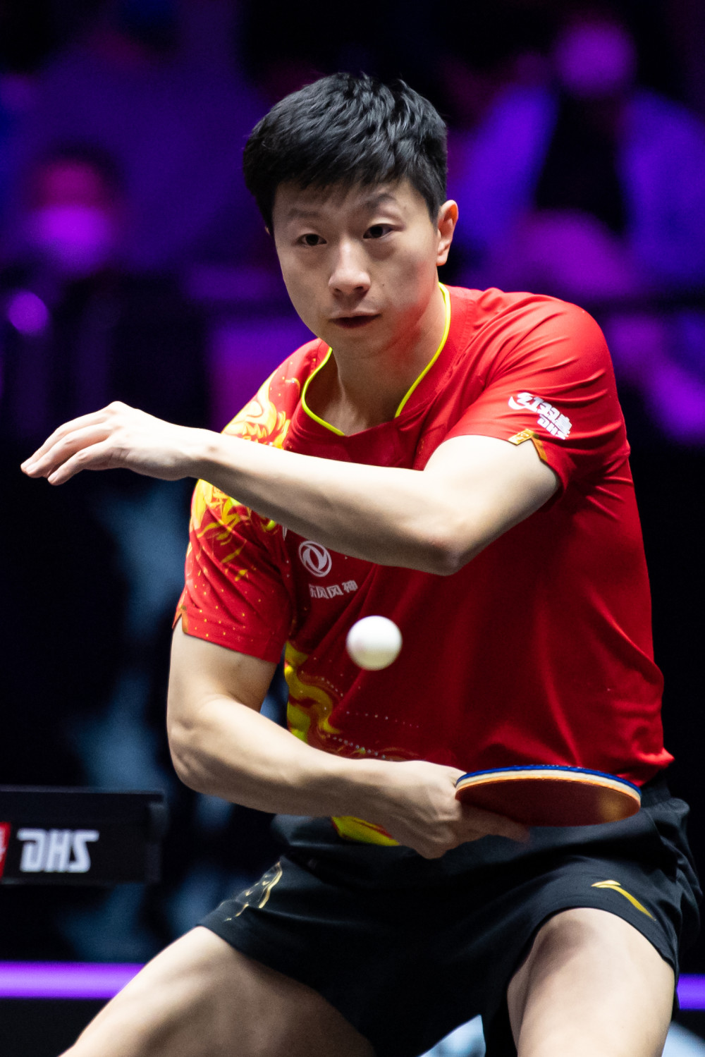 观赛指引 观赛指引